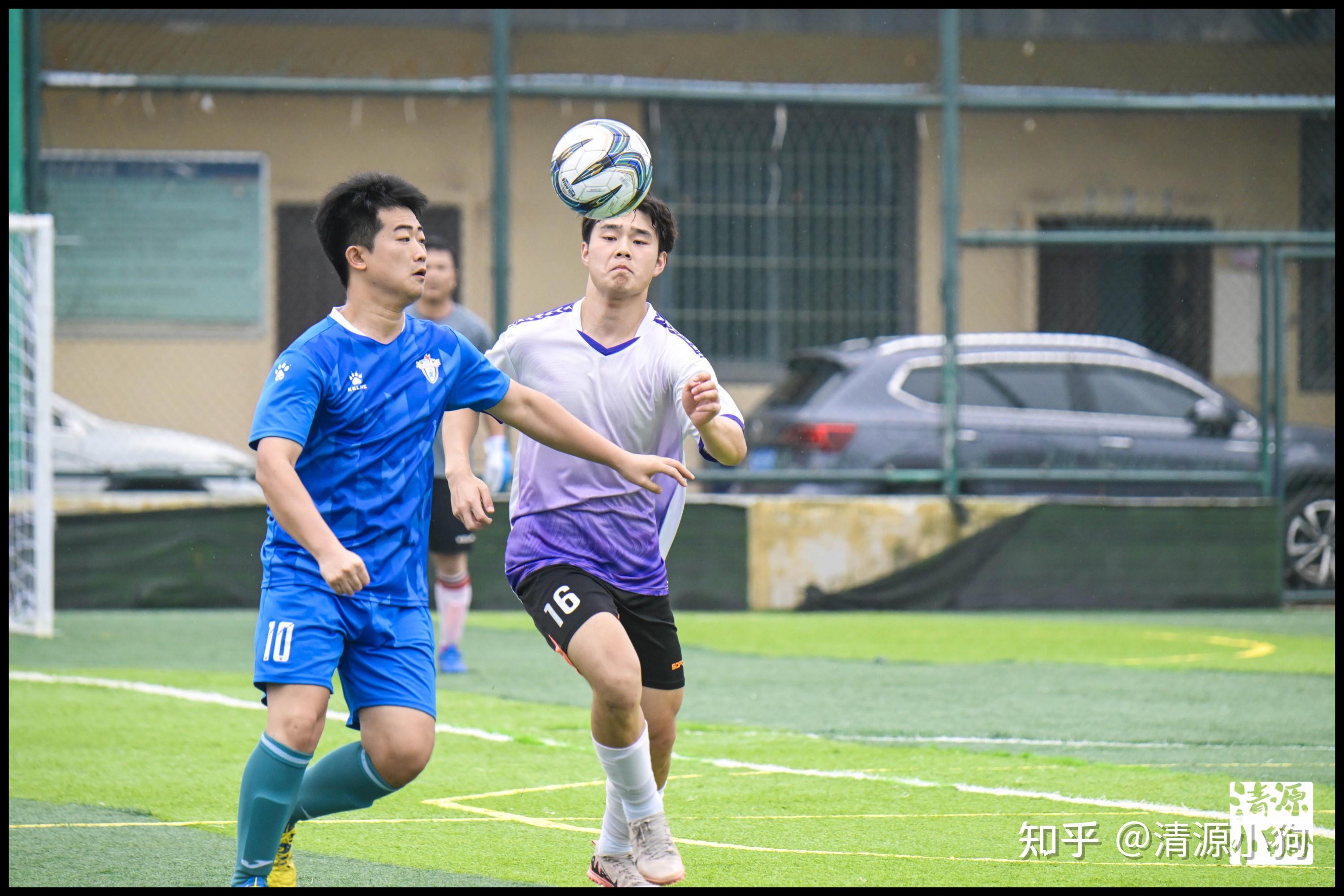 都显得无从 都显得无从